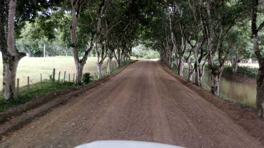 Secretaria de Obras recupera estrada que Liga Jacareci a Pau Brasil
Recuperar e manter as estradas vicinais em bom estado de trânsito é um importante